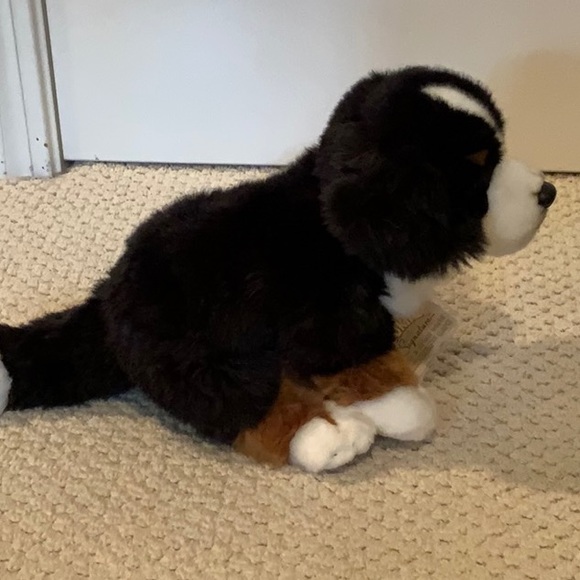 Webkinz Signature Bernese Mountain Dog - Picture 5 of 6